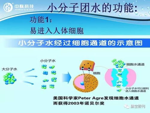 复制巴马活化水 中脉颐芯净水器完美讲解篇