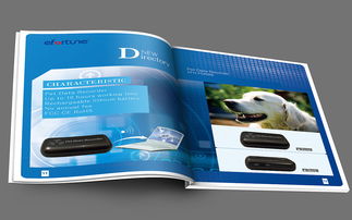 企业宣传图册 连接品牌与客户的视觉桥梁